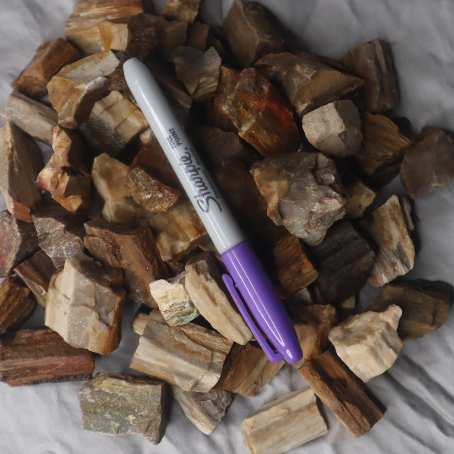 Rough Madagascar Petrified Wood