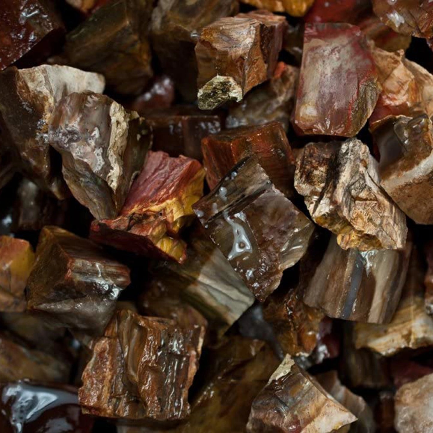 Raw Petrified Wood