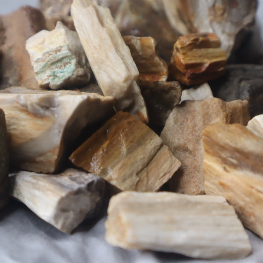 Rough Madagascar Petrified Wood