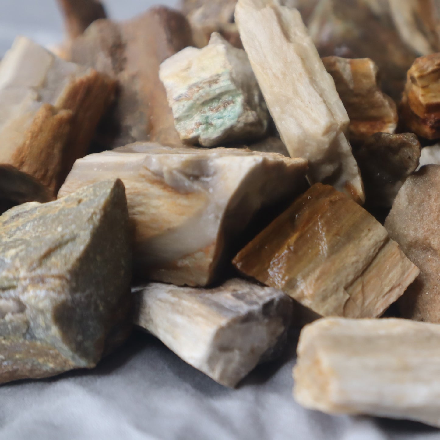 Rough Madagascar Petrified Wood