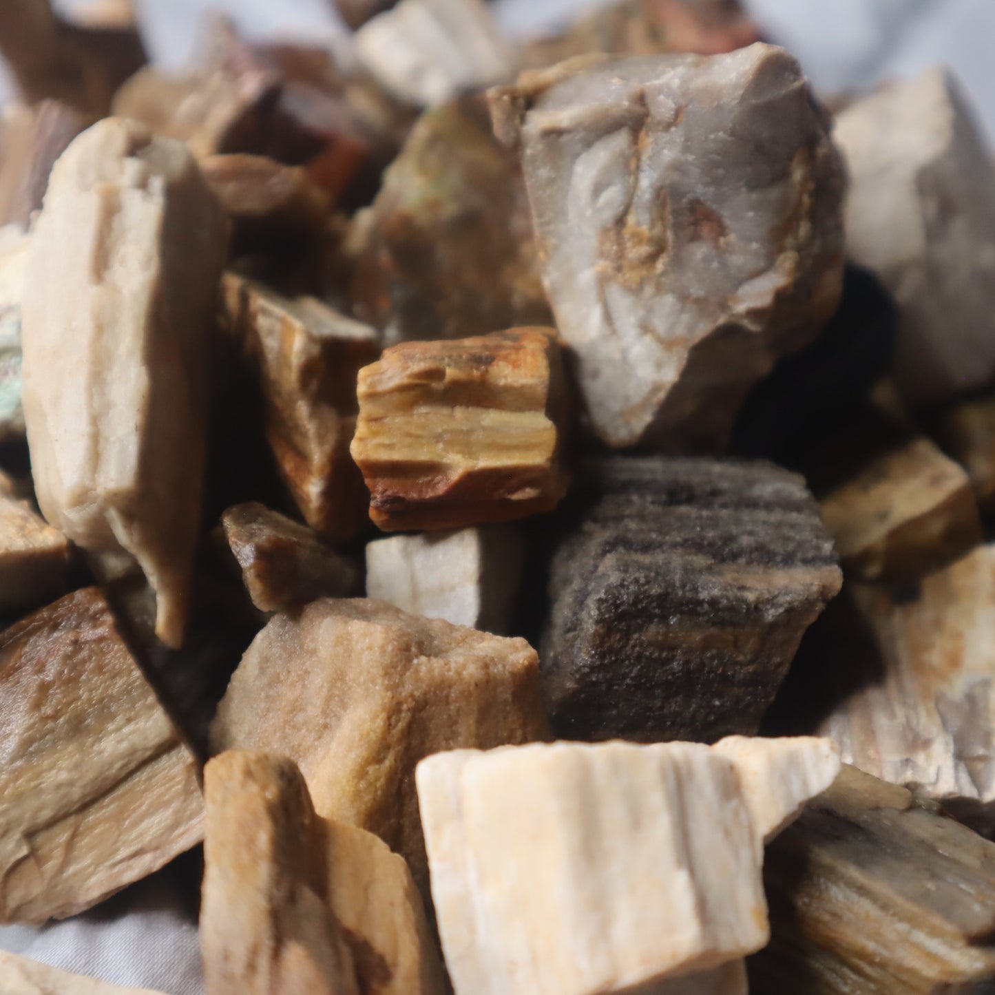 Rough Madagascar Petrified Wood
