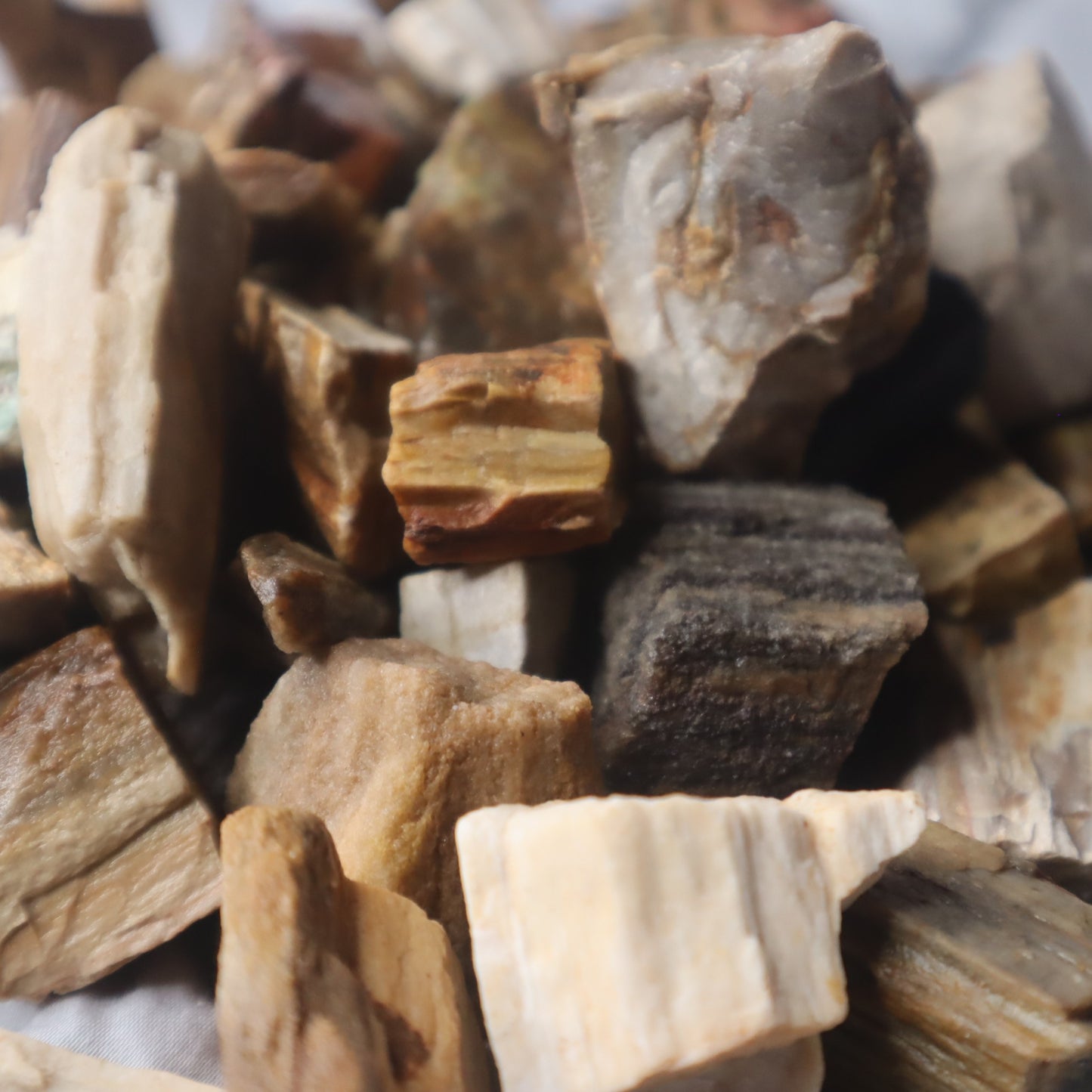 Rough Madagascar Petrified Wood