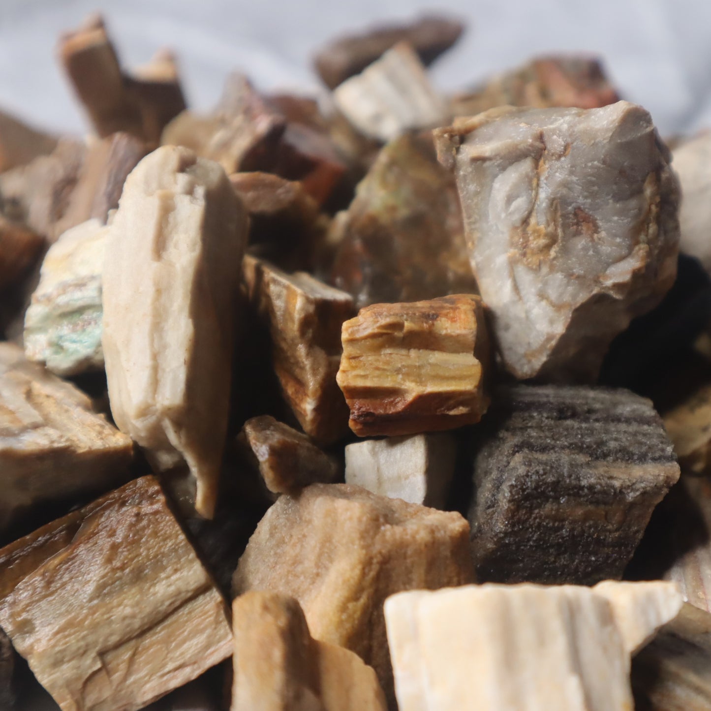 Rough Madagascar Petrified Wood